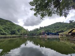 -西双版纳原始森林公园