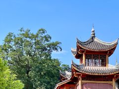 -南山植物园
