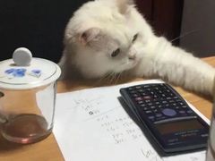 -宝发园名菜馆