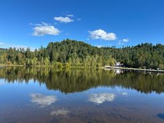 -五营红松林海景区