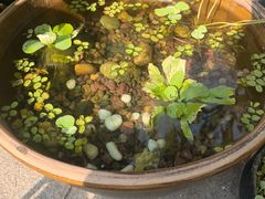 -川匠·睡眠采耳·SPA(九眼桥店)