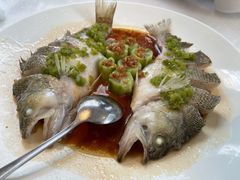 清蒸鲈鱼-衡山汇·高级粤菜(霄云路店)