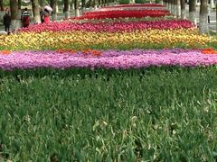 1-上海鲜花港