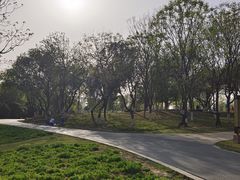 -盘龙城遗址博物院