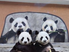 -栾川竹海野生动物园