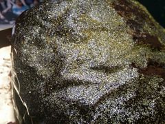 -85度C(南京龙江店)