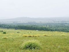-御道口草原森林风景区