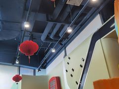 -中国宋庆龄青少年科技文化交流中心