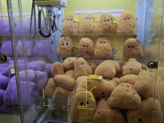 -万达广场(南京江宁店)
