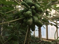 -祥源·阜阳生态乐园