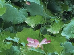 -丝绸小镇荻港古村