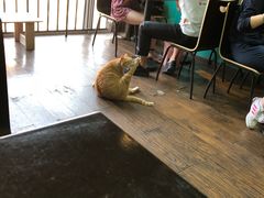 -盛天毛血旺非遗美食(观音桥店)