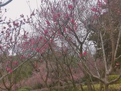 -阿哈湖国家湿地公园
