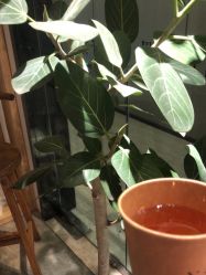 -Y+U遇瑜伽·普拉提