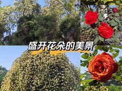 -渭滨公园
