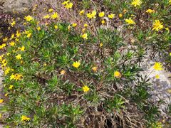 -上海滴水湖皇冠假日酒店