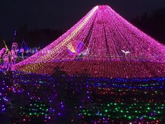 -顺鑫绿色度假村