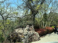 -句容茅山景区