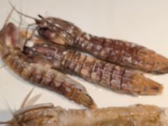 -海味当家·蒸锅海鲜(星海公园店)