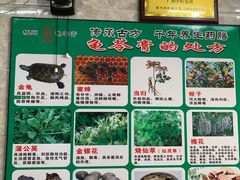 -梧州双钱龟苓膏(老街店)