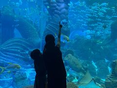 -波塞冬旅游度假区