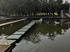 -海上田园
