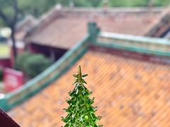 -吴山山·椰子酸奶(天河南店)
