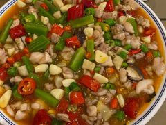 -陈麻婆豆腐总店