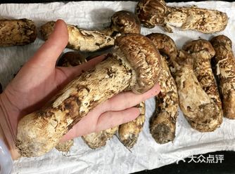 松茸炖鸡汤，鸡加松茸，几片姜和三个红枣，无比鲜甜