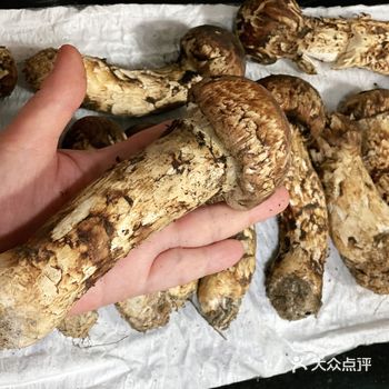 松茸炖鸡汤，鸡加松茸，几片姜和三个红枣，无比鲜甜