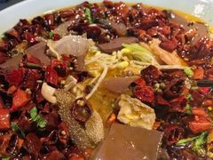 -陈麻婆豆腐总店