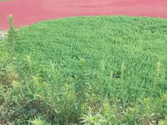 -远山有窑
