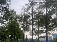 -美兰湖景区