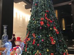 -河源万绿湖美思威尔顿酒店