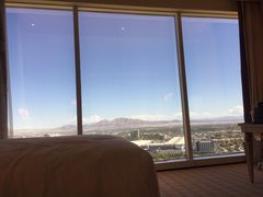 -拉斯维加斯永利酒店