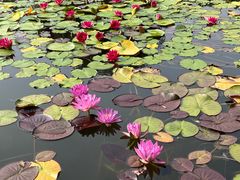 -国家植物园南园