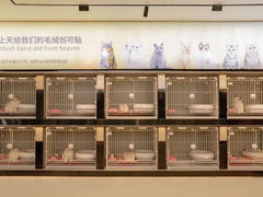 -翊宠yipet猫狗购宠庄园