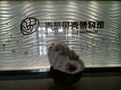 -青岛贝壳博物馆