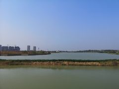 -官亭林海