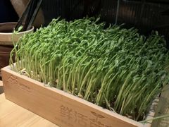 -湊湊火锅·茶憩(杭州湖滨银泰in77店)