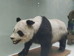 -国家自然博物馆