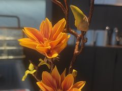-百草滩羊清水涮羊肉·清真·宁夏盐池滩羊(莲花桥店)