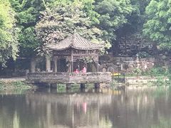 -老木棉·匠园