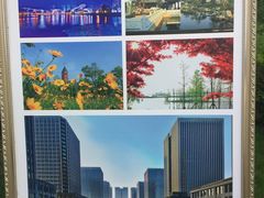 -尚贤河湿地