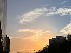 -毡房姑娘·新疆菜·烧烤