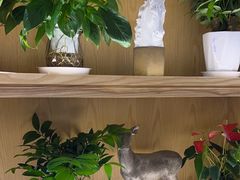 -荷花亭·湖北融合菜(十堰武商MALL店)