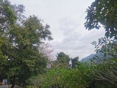 -广州市流溪河国家森林公园