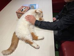 -游人馆·桌游狼人杀团建馆(人广书城店)