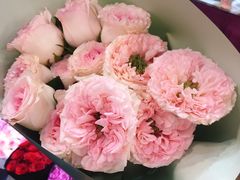 -双季花艺园艺市场(浦东店)