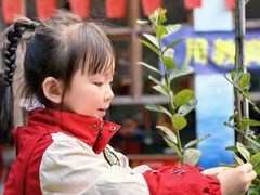 -金豆子幼稚园